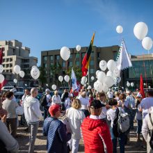 Šeimos maršo protesto akcija prie Seimo tęsiasi: mitinguotojų gretos išretėjo