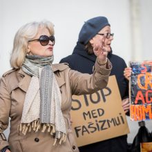 Savivaldybė: A. G. Astrauskaitė negali dirbti mokytoja dėl reputacijos, riaušių tyrimo