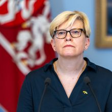 Šalies vadovai tikina: Lietuva yra saugi dėl to, kad yra NATO narė