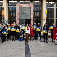 Ukrainos ambasadorius: mums reikia neskraidymo zonos virš šalies