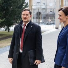 Ukrainos ambasadorius: mums reikia neskraidymo zonos virš šalies