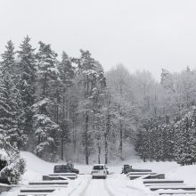 Vilniaus Antakalnio kapinėse nukeltos sovietinės skulptūros