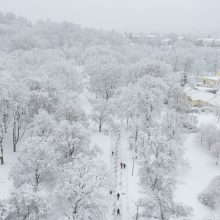 Įspėja apie pavojų: sniego gali neatlaikyti ne tik medžiai, bet ir stogai