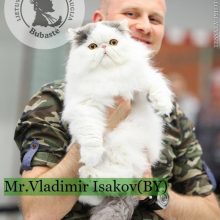 Mylite kates – būtinai užsukite į parodą Vilniuje