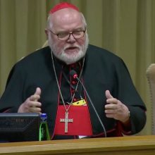 Vokiečių kardinolas pripažino, kad Bažnyčia naikino pedofilų kunigų bylas
