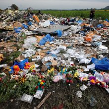 Nyderlandų teismas skelbs nuosprendį lėktuvo MH17 katastrofos byloje