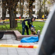 Vilniuje, prie Vyriausybės rūmų, mirė moteris