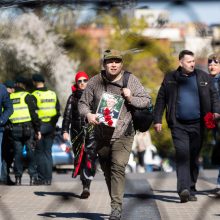 Policijos atstovas apie gegužės 9-ąją: rimtų neramumų nebuvo, sulaikyti du asmenys