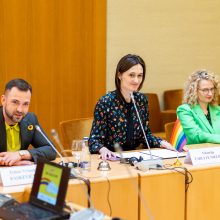 Parlamento vadovė: žingsniai siekiant apginti LGBT+ teises Seime žengiami sunkiai
