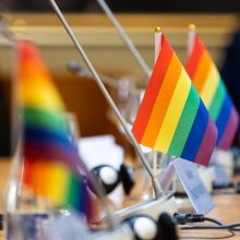 Parlamento vadovė: žingsniai siekiant apginti LGBT+ teises Seime žengiami sunkiai