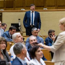 Seimo vadovė: dabar mėginti blokuoti parlamento darbą yra neatsakinga