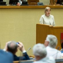 Politologai įvertino chaotišką dieną Seime ir prezidento poziciją: atrodo nesolidžiai