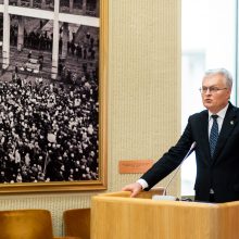 Užsienio reikalų komiteto vadovė: turime padaryti viską, kad demokratija laimėtų