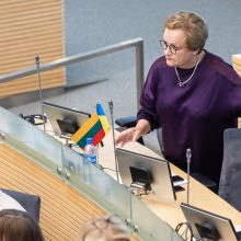 Į Audito rūmus išvykstanti dirbti L. L. Andrikienė atsisako Seimo nario mandato