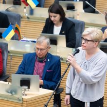Žlugo ketvirtas opozicijos bandymas: G. Landsbergis atlaikė interpeliaciją