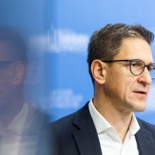 „Ignitis“ akcijų skandalas: VTEK tyrimą pradeda dėl G. Norkūno, D. Kreivį palieka ramybėje
