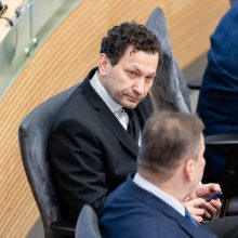 Premjerė: 40 proc. pavasario sesijai Vyriausybės siūlomų pataisų – jau Seime