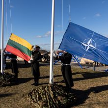 Vilniuje vyksiančio NATO viršūnių susitikimo logotipe – stilizuotas Vytis