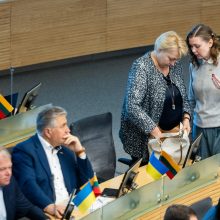 Seimo opozicija neplanuoja dalyvauti G. Landsbergio pasitarime dėl pirmalaikių rinkimų
