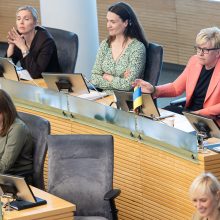 Seimas atmetė siūlymą: rugsėjį pirmalaikių rinkimų Lietuvoje nebus