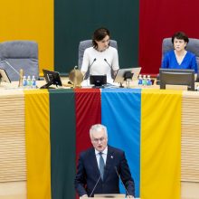V. Čmilytė-Nielsen: prezidento kalboje išgirdau akcentuojamus Vyriausybės prioritetus