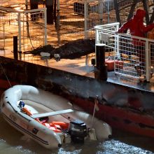 Budapešte nuskendus laivui žuvo septyni turistai, dar 19 dingo