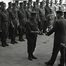 Krašto apsaugos savanorių pajėgos mini įkūrimo trisdešimtmetį