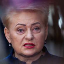 D. Grybauskaitė pažėrė kritikos valdantiesiems: jų veiksmai rodo politinę nebrandą