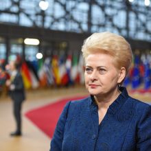 D. Grybauskaitė: pabėgėlių kvotų sistema – ne iki galo efektyvi