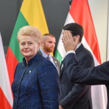 D. Grybauskaitė: geopolitinė realybė reikalauja tvirtos Aljanso vienybės