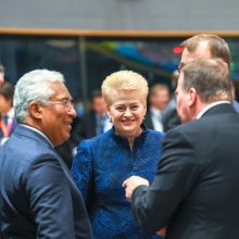 D. Grybauskaitė: britų parlamentas turi pritarti išstojimo susitarimui