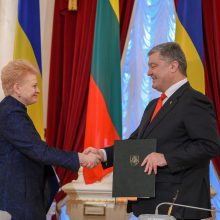 D. Grybauskaitė: Lietuva perduos Ukrainai šovinių, siųs daugiau instruktorių