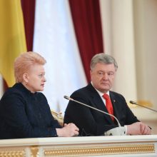 D. Grybauskaitė: Lietuva perduos Ukrainai šovinių, siųs daugiau instruktorių