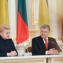 D. Grybauskaitė: Lietuva perduos Ukrainai šovinių, siųs daugiau instruktorių