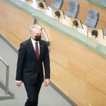 Seimas ragina suteikti Ukrainai ES kandidatės statusą: tai – moralinės paramos ženklas