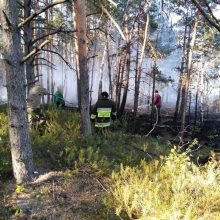 Miškininkai antrą dieną gesina miškus šalia Trakų – įtariami padegimai