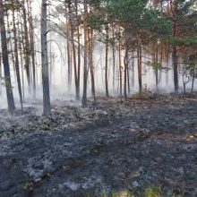 Miškininkai antrą dieną gesina miškus šalia Trakų – įtariami padegimai