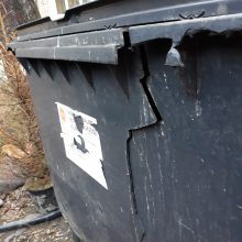 Atliekų reformos grimasos: siūlo šiukšles kratyti kaimynams