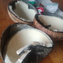 Vietoj skanaus kokoso – juodi pelėsiai: galiojimo laikas pasibaigęs rugpjūtį?