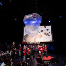 „TEDxVilniusED“ prabils apie žaidžiantį protą