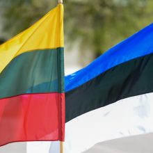 Lietuvos vadovai pasveikino Estiją 103-iųjų Nepriklausomybės metinių proga