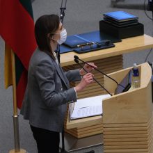 Seimas pradeda pavasario sesiją: į pirmąjį posėdį susirinko gyvai