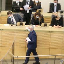 V.  Čmilytė-Nielsen pristatė Seimui V. Mizaro kandidatūrą į KT teisėjus