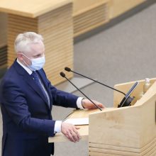 V.  Čmilytė-Nielsen pristatė Seimui V. Mizaro kandidatūrą į KT teisėjus