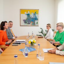 Premjerė su užsienio lietuviais aptarė pilietybės referendumo organizavimo klausimus