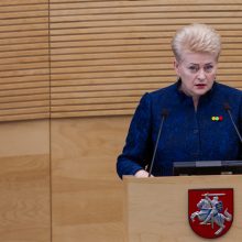 Paskutinis D. Grybauskaitės metinis pranešimas: svarbiausi akcentai