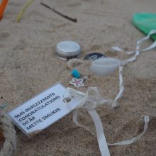 Lietuvos pajūryje šiukšlintojai palieka ne tik nuorūkų: dauguma šiukšlių – iš plastiko