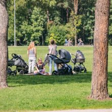 Vilniaus parkuose erkes gaudys gaudyklėmis su sausu ledu