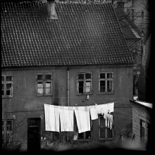 Fotografo B. Aleknavičiaus žvilgsnis pro langą