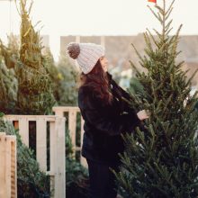 Pirmosios Kalėdų eglės pradėtos pirkti rekordiškai anksti: kokios kainos?